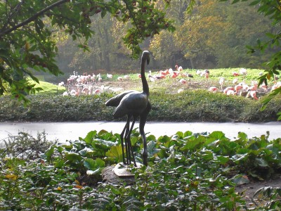 Flamingopaar