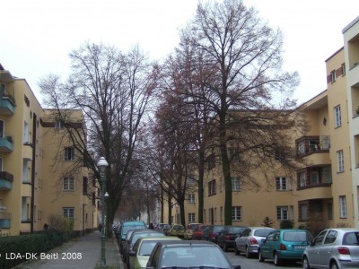 Siedlung Michelstadter Weg, Schwendyweg, Reußstraße