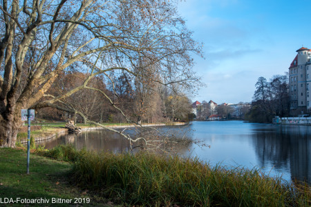 Lietzenseepark mit ehem. Dernburgplatz und Witzlebenplatz