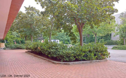 Gartenhof und Vorgärten