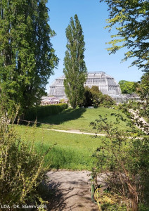 Botanischer Garten Dahlem