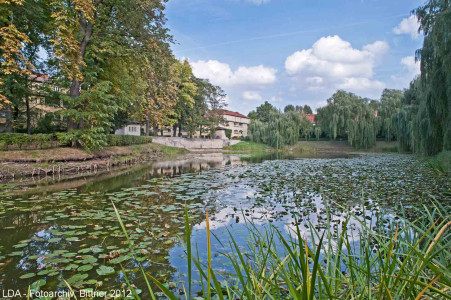 Freiflächen und Gartenanlagen der Lindenhofsiedlung